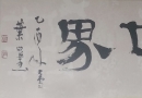 Ź